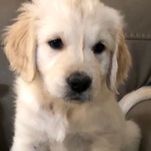 Meet your Posher, Sherri